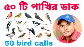 The call of 50 birds ৫০টি পাখির ডাক পাখির ডাক The call of the birds Indian Birds Sounds