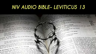 LEVITICUS 13 NIV AUDIO BIBLE (with text)