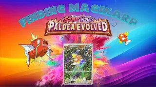 Breaking Open Paldea Evolved Booster Box | Trying to find the Magikarp!! | #magikarp #pokemon