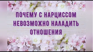 Почему с нарциссом невозможно наладить отношения