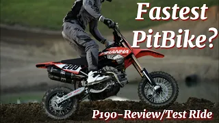 Worlds FASTEST PitBike? (Piranha 190 Daytona 4-V DE)