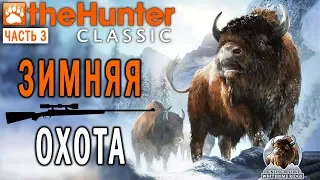 theHunter Classic #3 🐶 - Зимняя Охота - Баран, Бизон, Заяц, Медведь - СТРИМ