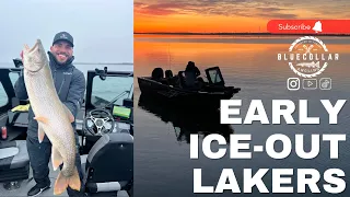 EARLY ICE OUT LAKE TROUT