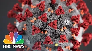 What You Should Know About The COVID-19 | NBC News NOW