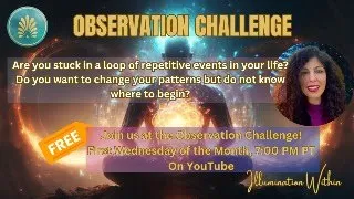 Observation Challenge  15