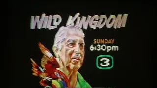 KCRA Channel 3 Reports at 6pm Sunday teaser and open December 21, 1980