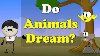 Do Animals Dream? + more videos | #aumsum #kids #science #education #children