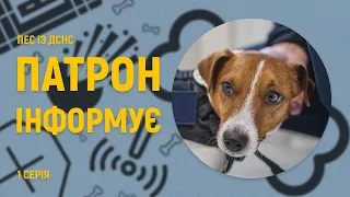 Пес із ДСНС Патрон інформує. Що не слід робити поруч зі снарядами, які не розірвалися | 1 серія