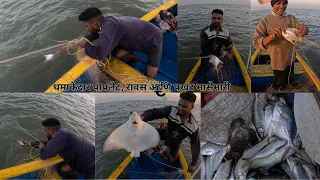 धमाकेदार पापलेट, रावस आणि पखट मासेमारी | Rawas, Pomfret and stingray Fishing #mahimkoliwada