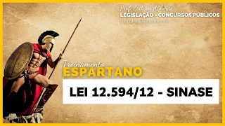 Resolução de Questões - Lei 12.594/12 - SINASE