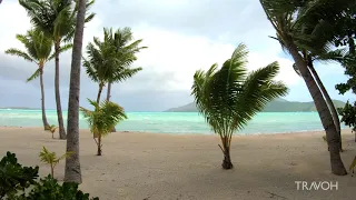 Tropical Private Island Tour | Ocean Paradise | Motu Tane Bora Bora, French Polynesia 🇵🇫 | 4K Travel