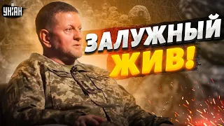 Залужный - жив! Главнокомандующий ВСУ лично опроверг фейк Кремля