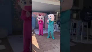 Gender reveal Baby mascots!! BABY DANCE!! #babydance #babydancevideos #babydancingvideo #babyshorts