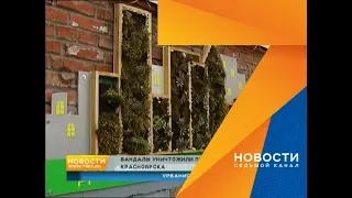 Первое эко-граффити в Красноярске уничтожили за сутки