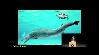Dolphins and Whales:  Minds Beneath the Waves – Dr Lori Marino at Colorado College.