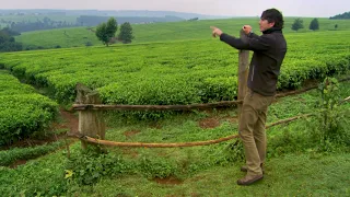 Huge Tea Plantation | This World: The Tea Trail with Simon Reeve | BBC Studios