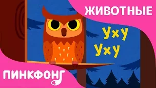 Звуки Животных | Песни про Животных | Пинкфонг Песни для Детей