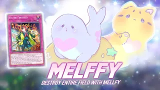 INSANE TECH FOR MELFFY - YOU'RE FINISHED | Destroy The Entire Field! | Master Duel