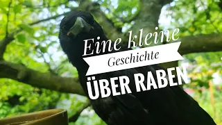 Eine kleine Geschichte über Raben