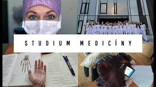 STUDIUM MEDICÍNY - CO ČEKAT?