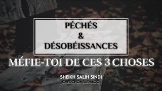 PÉCHÉS ET DÉSOBÉISSANCES : MEFIE-TOI DE CES 3 CHOSES