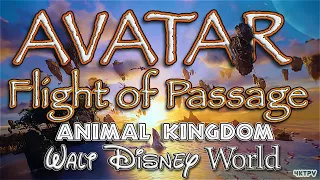 Avatar Flight of Passage - Walt Disney World - Animal Kingdom - POV complete ride!