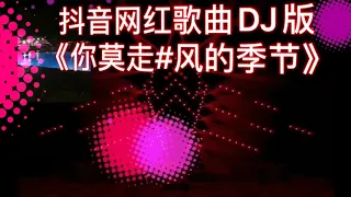 抖音网红歌曲DJ版《你莫走*风的季节》