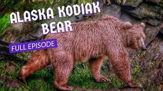 Kodiak Island Brown Bear Pt. 1