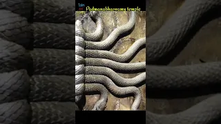 पद्मनाभस्वामी मंदिर में कितने दरवाजे हैं? || Mystery of padmanabhaswamy temple #shorts #temple