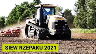 Siew rzepaku 2021/2022