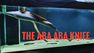 The Aba Aba Knifefish: Live Feeder restocking and feeding