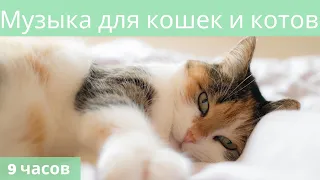 #6|🐱Музыка для кошек и котов🐱  Успокойте ваших кошек музыкой, помогите котам спать