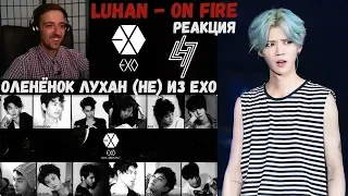 ОЛЕНЁНОК ЛУХАН (не) ИЗ EXO | LUHAN | ARI RANG | РЕАКЦИЯ | Luhan - On Fire | Интересные факты о Luhan