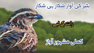 Batair ki awaz volume 5