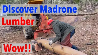 Does Madrone Make Good Lumber? Find Out w Woodmizer LT15 Sawmill