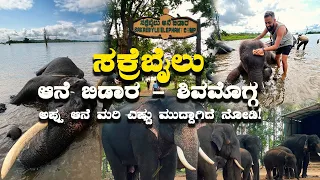 Sakrebailu Elephant Camp Shivamogga must visit place ಸಕ್ರೆಬೈಲು ಆನೆ ಬಿಡಾರ | Kannada Vlogs