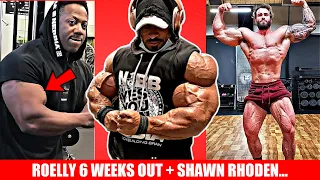 Roelly Winklaar 6 Weeks Out + Calum Full Posing Video + Shawn Rhoden Posing + MORE