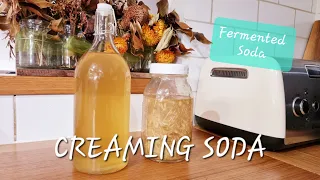 Make FERMENTED CREAMING SODA | Fermented Soda Series: All the Knowledge to make Fermented Soda