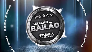 TOP BANDAS DO SUL - SELEÇÃO DE BAILÃO - DESTAQUES NO SUL