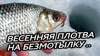 БЕЗМОТЫЛКА. ВЕСЕННЯЯ ЛОВЛЯ ПЛОТВЫ НА МОРМЫШКУ