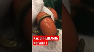 КАК ОПРЕДЕЛИТЬ КОРАЛЛ ?