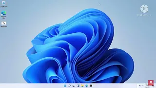 Destroying Windows 11 with viruses