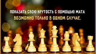 Международный день шахмат (ПОЗДРАВЛЕНИЕ)