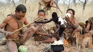 What do the Hadzabe feeding the Dogs before going out Hunting