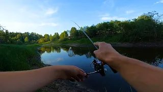 BOMBINIS EŠERIŲ KIBIMAS SPININGU