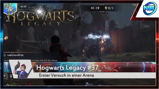 Erster Versuch in einer Arena #37 Hogwarts Legacy ✨ Gameplay Deutsch