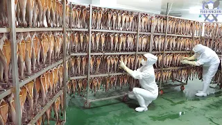 Amazing production process! cold air drying Stewed seafood pollack / korean food facyory