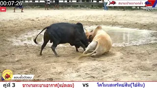 ไฮไลน์รอบรั้วสุดมัน ขาวงามทะยานอากาศ (แปดเลน) vs โหนดทรัพย์สิน (ไอ้สิน)