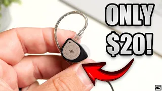 Insanely Good IEM's...And Only $20! : Simgot Shark EW100P