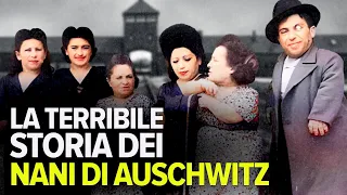 La TERRIBILE STORIA dei sette NANI di Auschwitz sopravvissuti alle torture dott MENGELE